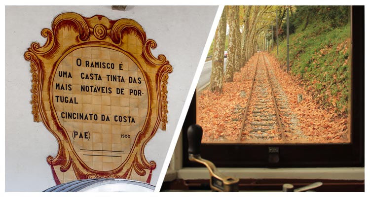 1 – Discovering Colares Wine on a Tram trip