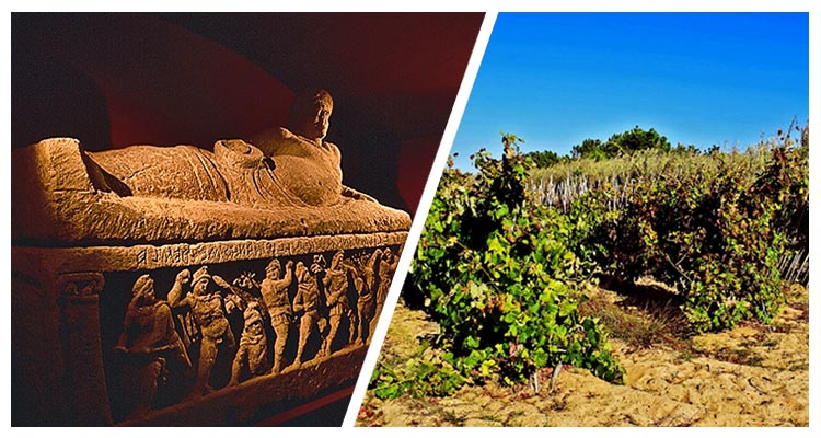 4 – Archaeology and Colares Wine
